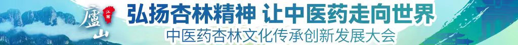 91中文国产中医药杏林文化传承创新发展大会